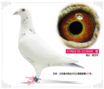 ����ͨ�ݸ��550���������147��   ��	