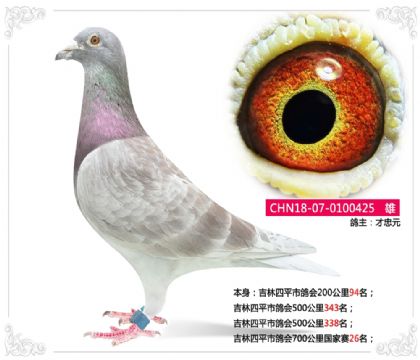 ������ƽ�и��700���������26��   ��	