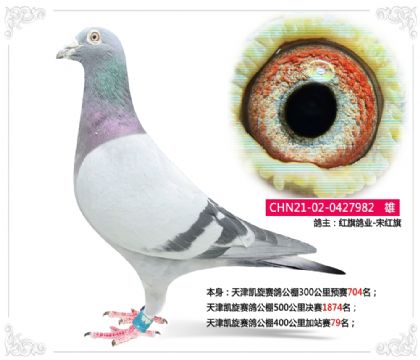 ��������빫��400�����վ��79��   ��	