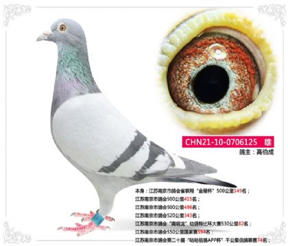 �����Ͼ��и��ڶ�ʮ��ǧ�����Ÿ�����74��   ��	