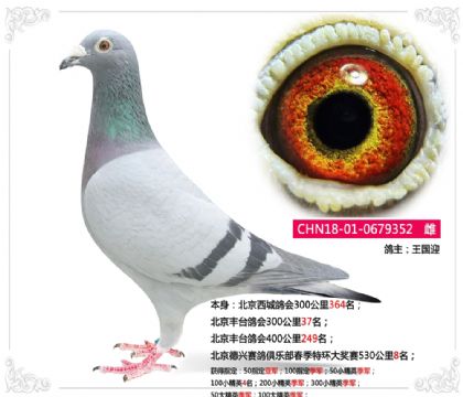 ��������������ֲ������ػ�����530����8��  ��