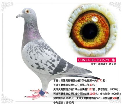 �����Ұ���빫��450����ڶ���37��  ��