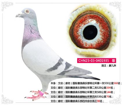 �Ĳ����ȷ�������������ֲ��Ĺ��ۺϸ���98��   ��