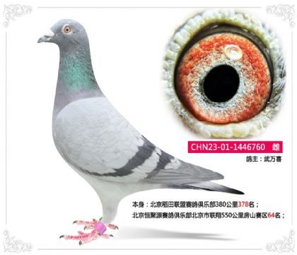 �������Դ������ֲ�����550���﷿ɽ����64��   ��