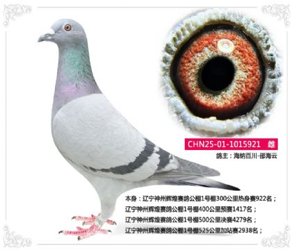 �������ݻԻ����빫��1����300����������922��   ��	