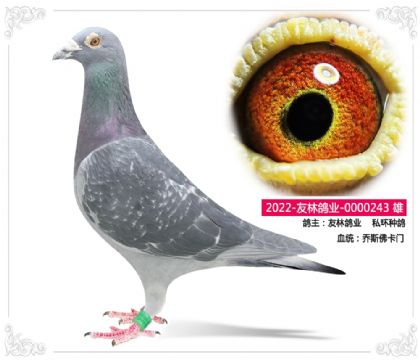 ���ָ�ҵ    ˽���ָ�	��˹����243 ��	