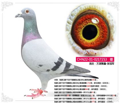 �żҿ���ǧ��ǧ�����빫���վ����һ��522����41��