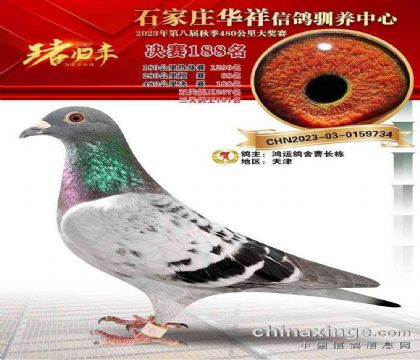 ʯ��ׯ�������빫��480�������188��   ��	