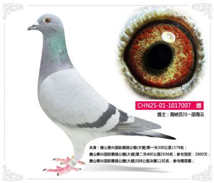 ��ɽ���˹������빫��(����)508�������1192��  ��