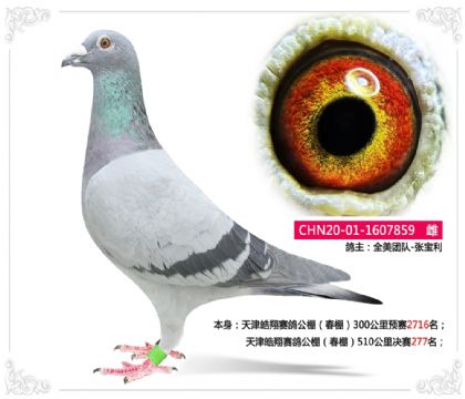 ���������빫����510�������277��   ��	