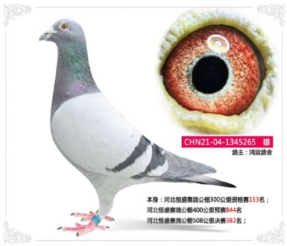 �ӱ���ʢ���빫��508�������382��   ��