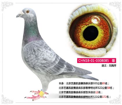 �����ռο���������ֲ�˫���ۺ�12��   ��