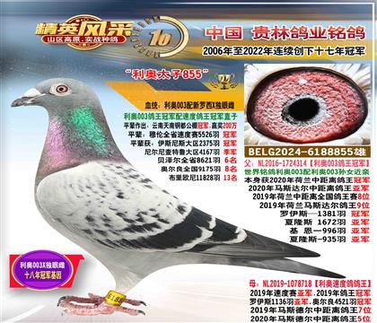 �������¸����ھ�ֱ��