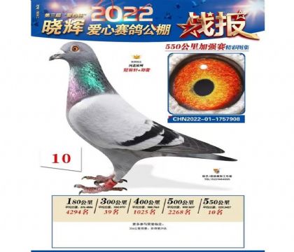 �żҿ����԰������빫��550�����վ��10��   ��	