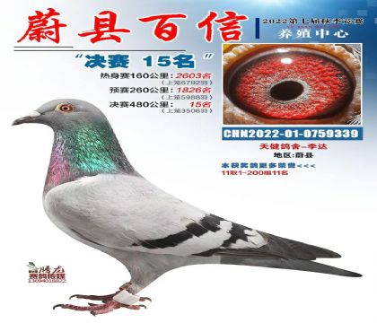 �ӱ�ε�ذ����Ÿ���ֳ����480�������15��  ��	