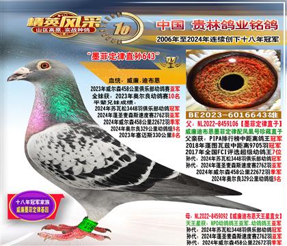 ����ī�ƶ�����.458�����Ǿ�