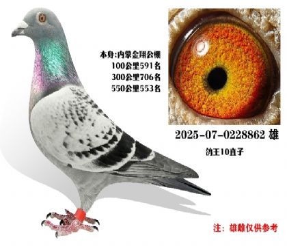 �����վ553��