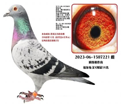 �ش�������200����12��