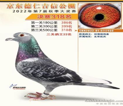 �������318�����ظ���22����