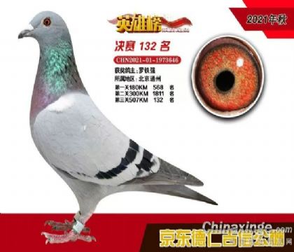 �������270��ĸ