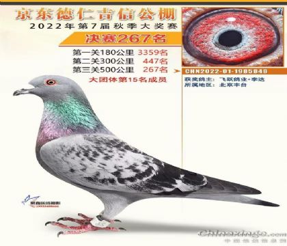 �������267��