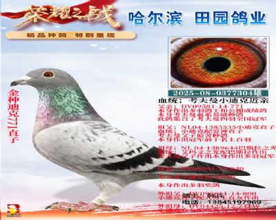 ���ֵϿ�771ֱ��