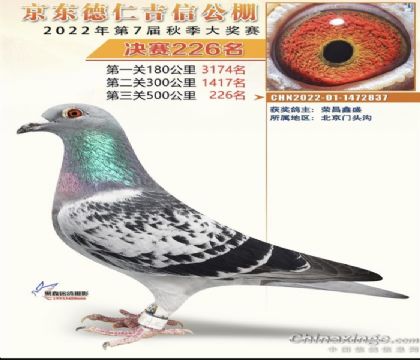 �������226��