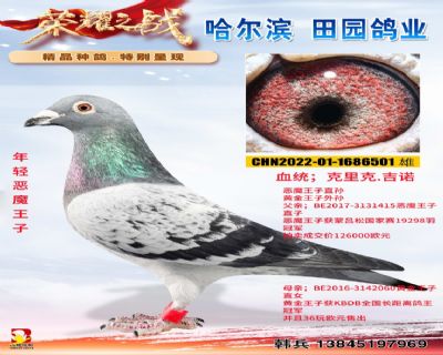 �����ħ����501�����ر��Ƽ�