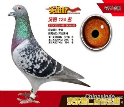 �������124��