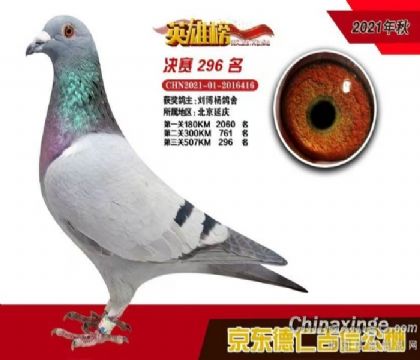 �������296��