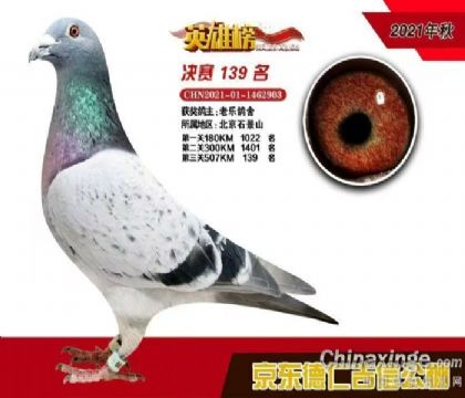 �������139����