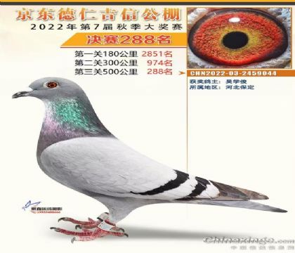 �������288��ĸ