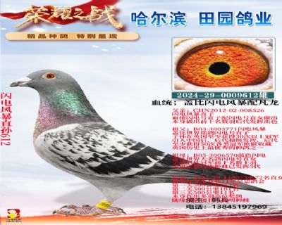 ����籩ֱ��612��������ܼ����͸�