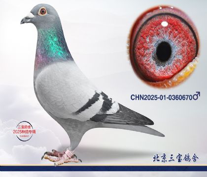 1.����x����.0360670