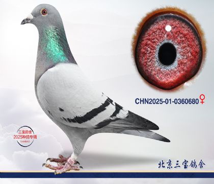 3.����x����.0360680