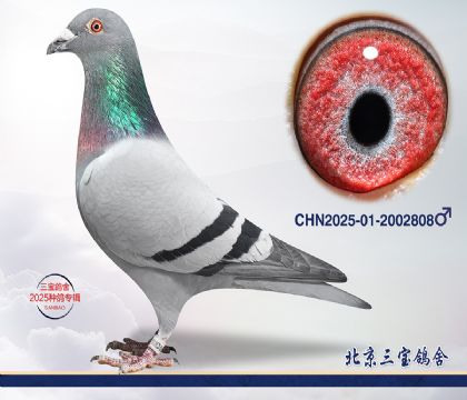 5.����x����.2002808