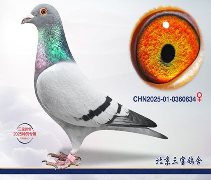 7.���ҽ�Ѫ.0360634