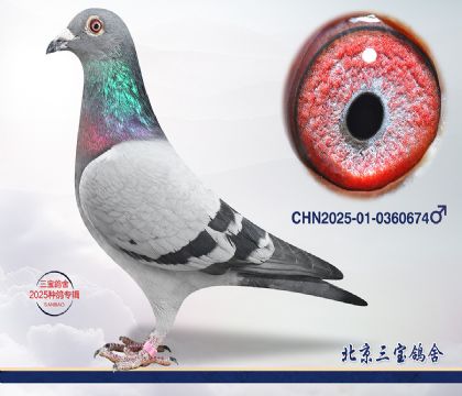 6.����x���ֿ�˹.0360674