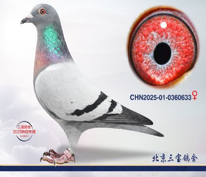 10.���ҽ�Ѫ.0360633