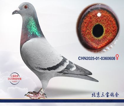 9.���ǲ���x����.0360608