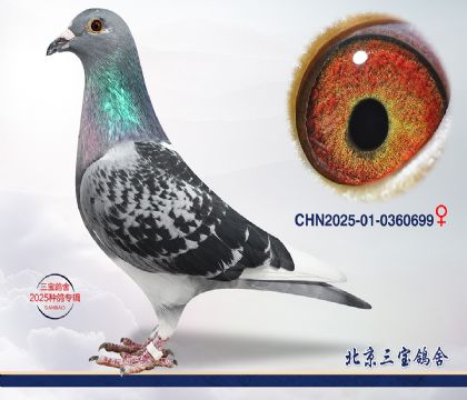 12.Ӣ��˹��Ѫ.0360699