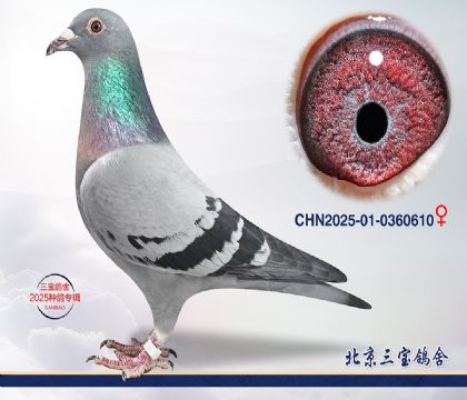 11.�Ǳ�³�Ͻ�Ѫ.0360610