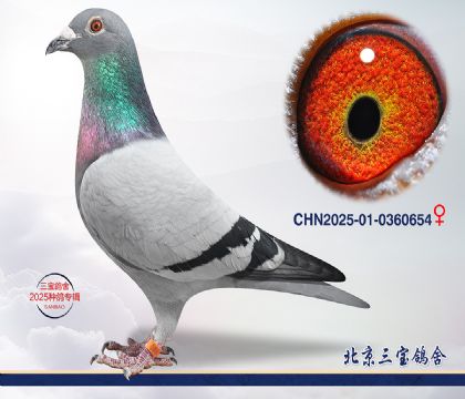 13.һ������ھ��Ӵ�.0360654