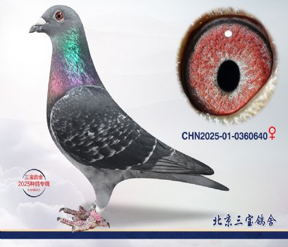 14.�����˹x����Ѫϵ.0360640