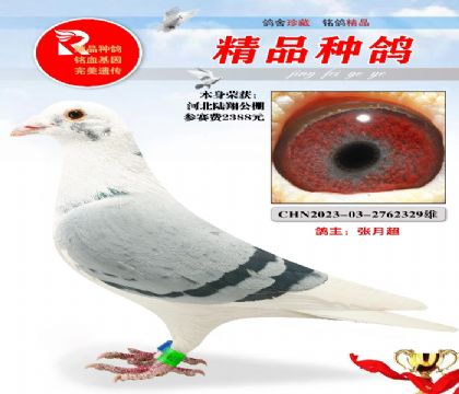 ½�蹫������빫