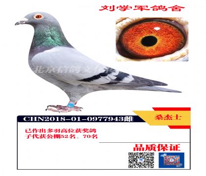 ��������ɣ��ʿ943