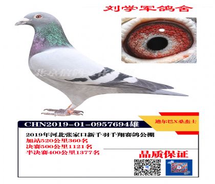 �϶���Xɣ��ʿ694