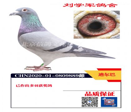 �϶���889 ����֮ĸ