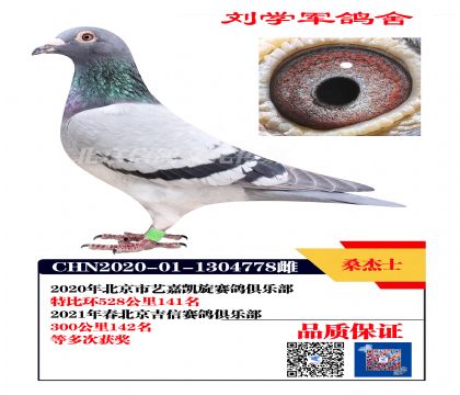 ɣ��ʿ778��λ񽱸�