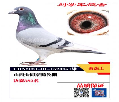 �������382��